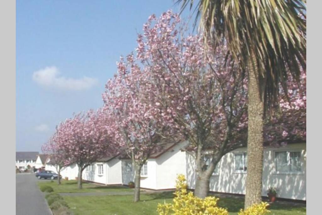 Perfect For The Family And Beaches - Gower Cwtch Villa Swansea Eksteriør billede