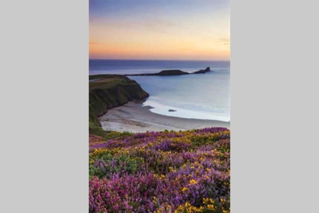 Perfect For The Family And Beaches - Gower Cwtch Villa Swansea Eksteriør billede